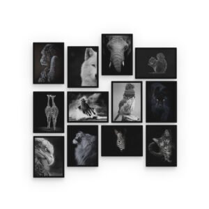 Majestic Wildlife Collection: Black and White Animal Wall Picture Tiles