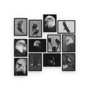 Majestic Regal Eagles Black & White Photography Collection Wall Picture Tiles