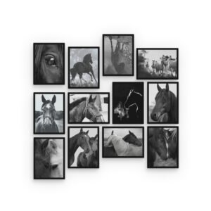 Majestic Horses Black & White Photography Collection Wall Picture Tiles